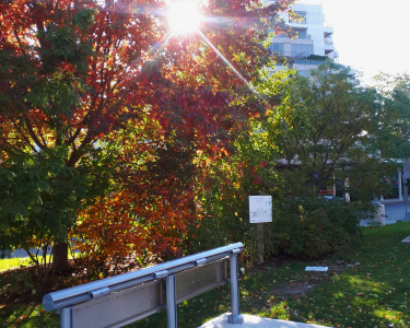 Old Mill Garden at TTC Old Mill Station