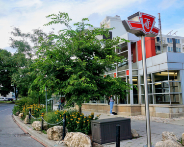Spadina Garden at TTC Spadina Station (Walmer Rd. Entrance)