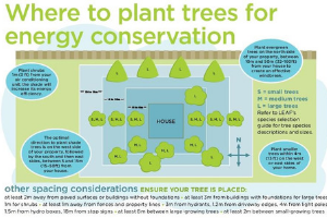 Image showing ideal placement of trees around a property(© 2013 LEAF)