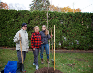 People standing in front of a planted tree during the fall. 