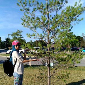 © 2018 Farheen Kadwa Young woman standing by a tree(© 2018 Farheen Kadwa)