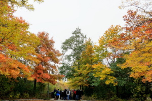 © 2018 Kanchan Maharaj / LEAF: Fall foliage at Colonel Samuel Smith Park(© 2018 Kanchan Maharaj / LEAF)