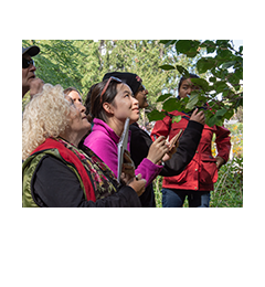 Tree Tenders Volunteer Training participants identifying a tree