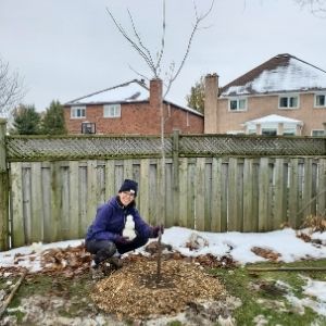 Young woman squatting in the snow next to a recently planted tree(© 2019 Adriana Rezai-Stevens / LEAF)