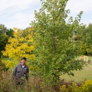 Ben standing by a Freeman maple(© 2019 Ben Freeman)