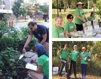 Collage of LEAF volunteers at work in 2019