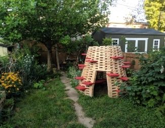 Toronto backyard with a large tulip tree and a hut