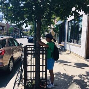 LEAF staff observing street tree(© 2019 Kaja McDonald / LEAF)