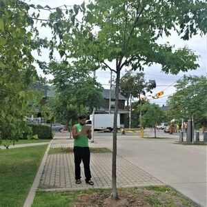 LEAF staff observing park tree(© 2019 Kaja McDonald / LEAF)