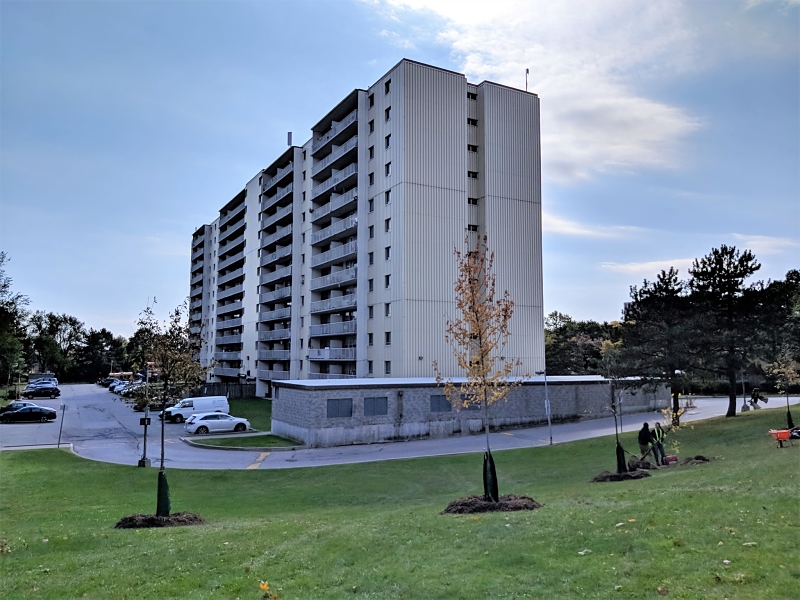 Residential building with trees recently planted around it(© 2019 Lam Tran / LEAF)