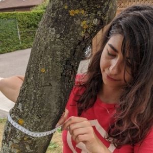 Lynn measurements the girth of a tree trunk for a tree inventory.(© 2020 Tarek Jisr / LEAF)