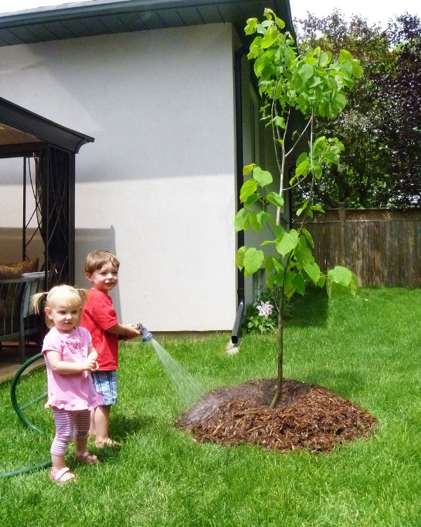 children watering a newly planted tree(© 2014 / LEAF)