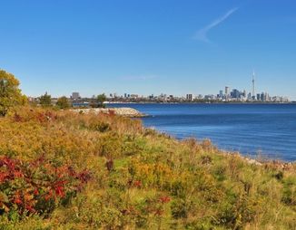 City of Toronto skyline and urban forest