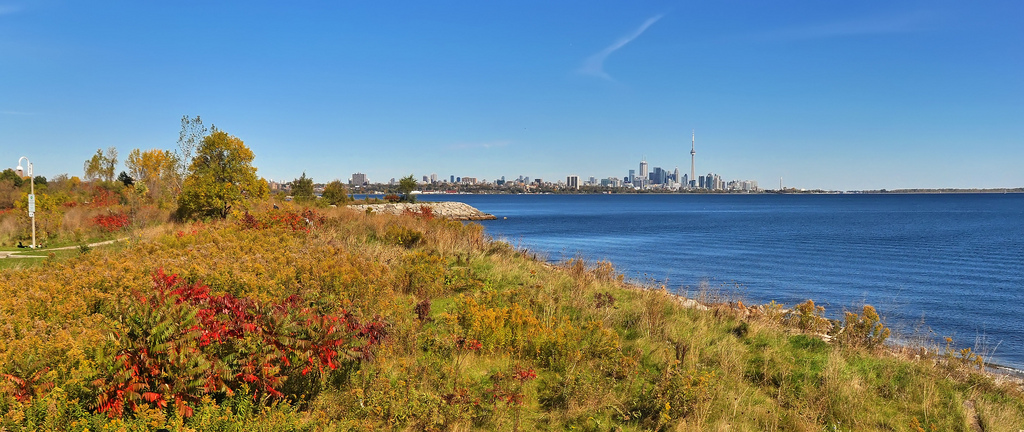 Toronto urban forest and skyline(©2010 Brian Groulx / LEAF)