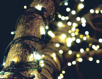 Zoom in of decorative lights around a tree shining prettily at night