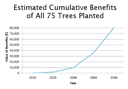 Upward graph of cumulative benefits of all 75 trees from 2019-2094(© 2019 i-Tree Design )