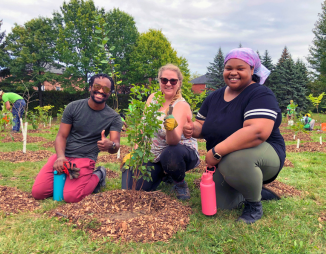 Three people kneeling around the tree they have just planted and mulched. They are all smiling and giving a thumbs up to the camera.