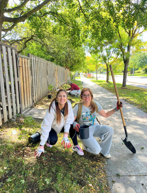 two volunteers planting shrubs next to a fence