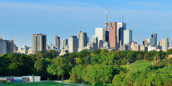 Toronto skyline showing tree canopy.