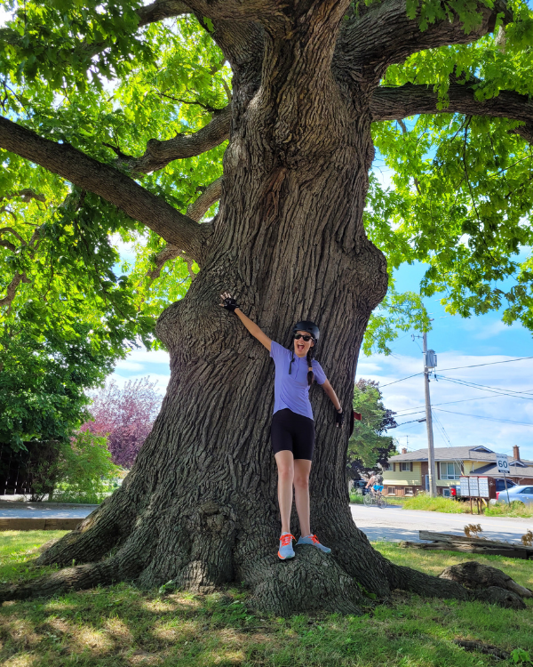 Jess stands under a massive oak tree during a bike trip through the Niagara Region in 2022 (© 2023 LEAF)