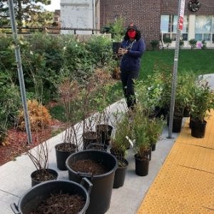 Woman on the sidewalk with shrubs(© 2020 Lianna Lopez / LEAF)