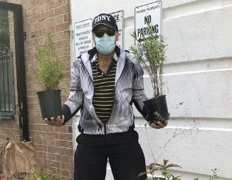 Man holding two shrubs