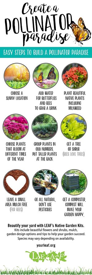 Infographic showing how to create a pollinator paradise(© 2019 LEAF and The Regional Municipality of York)