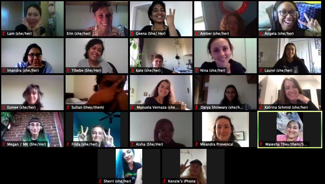 Our young urban forest leaders cohort virtual zoom meeting(© 2020 LEAF)