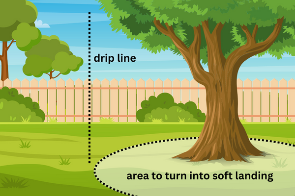 Diagram depicting a tree's drip line and the soft landing area beneath it(© 2024 LEAF)