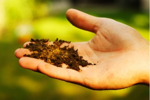 Hand holding soil(© 2010 Matthew Higginson / LEAF)