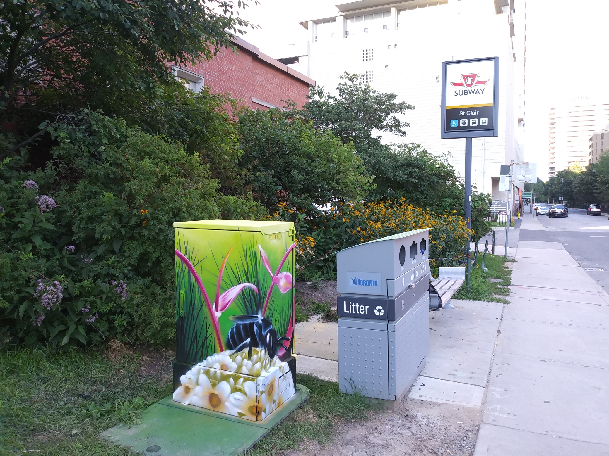 A mural on the Bell box near our St.Clair Garden highlighting local biodiversity and pollinator populations(© 2017 Fumie Kunimatsu / LEAF)