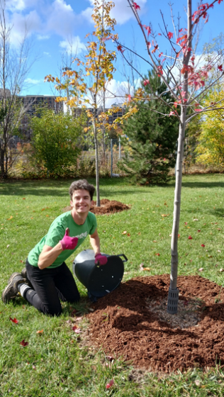 LEAF staff member mulching trees 