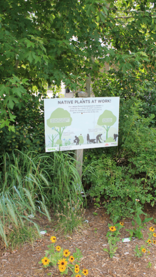 Old Mill Station garden