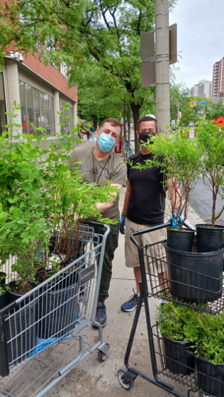 people with their shrub deliveries