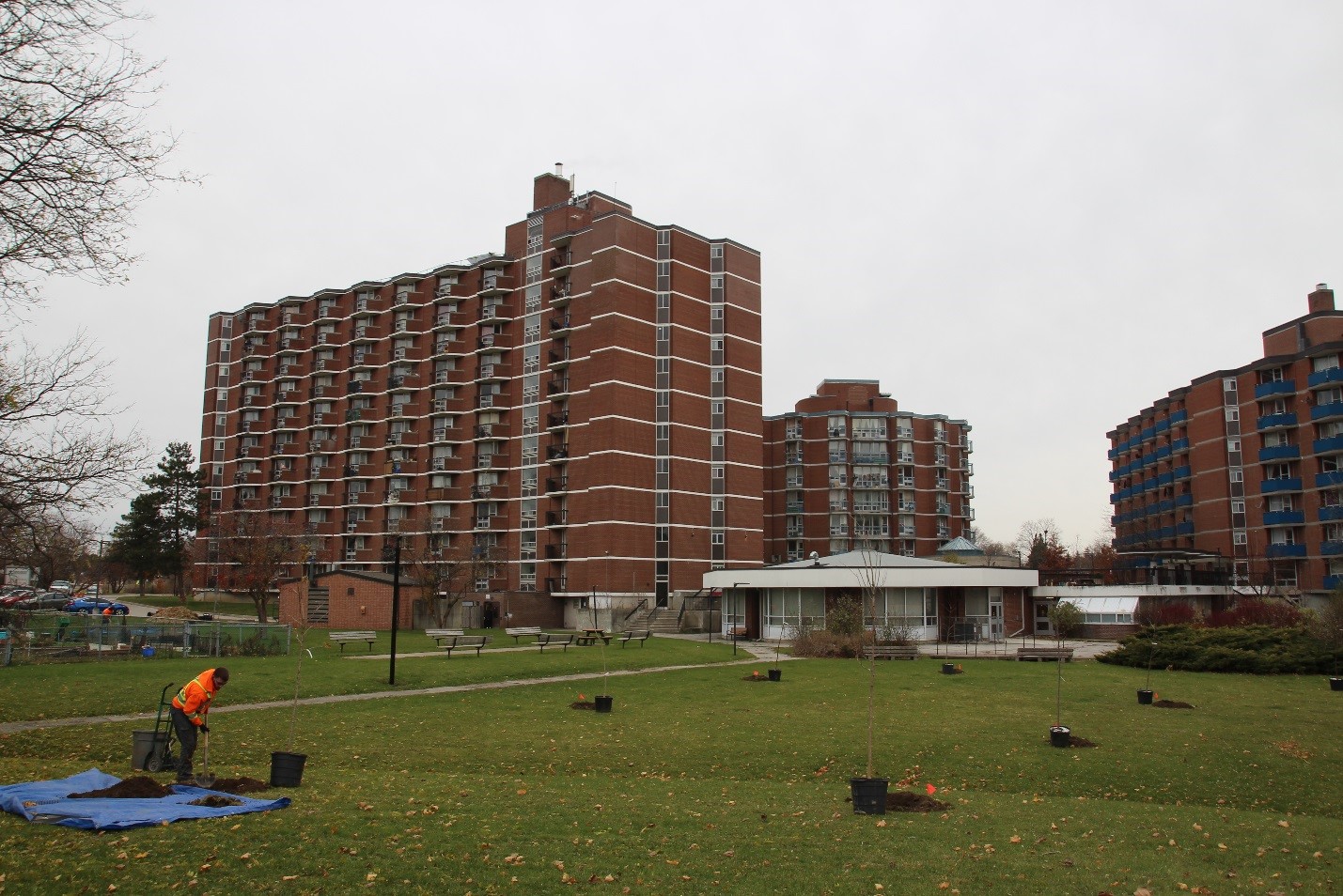 Photo of the Kendleton TCHC property with planter in the foreground digging a whole for a new tree(© 2018 Janet McKay / LEAF)