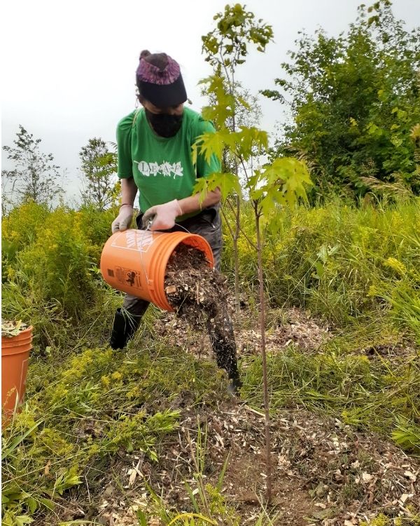 Volunteer mulching native trees(©2021 Brian Millward / LEAF)