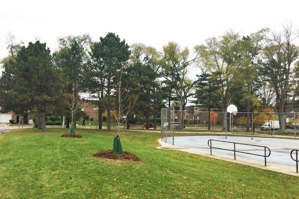 Two of the trees planted by LEAF and cared for by Annisha(©2020 Erin MacDonald/LEAF)