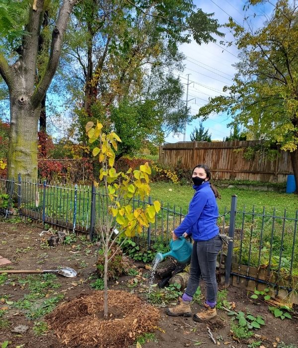 Adriana watering a basswood(©2020 Adriana Rezai-Stevens / LEAF)