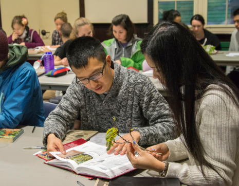 tree tenders studying in a classroom