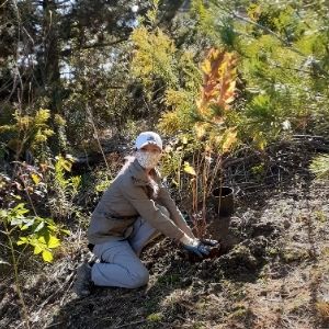 Woman planting a tree on a slope(© 2020 Brian Millward / LEAF)