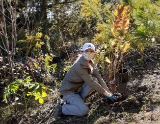 Woman planting a tree on ground