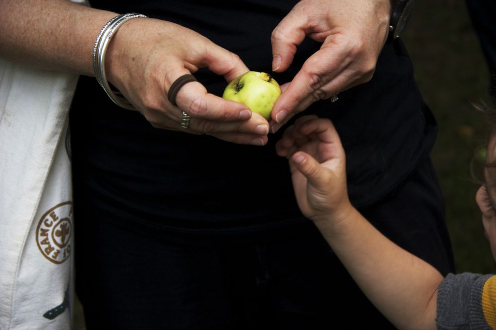 Urban apples