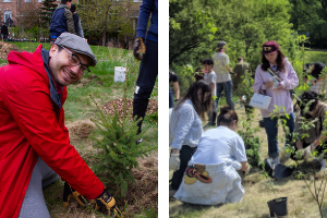 Side-by-side picture of volunteers planting at community planting events