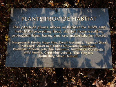 Plants provide habitat
