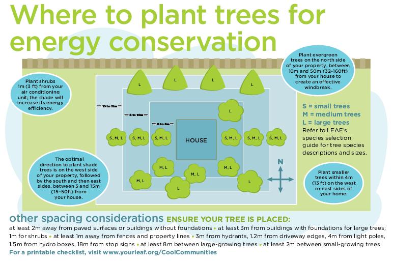 Where to plant trees and shrubs for energy conservation