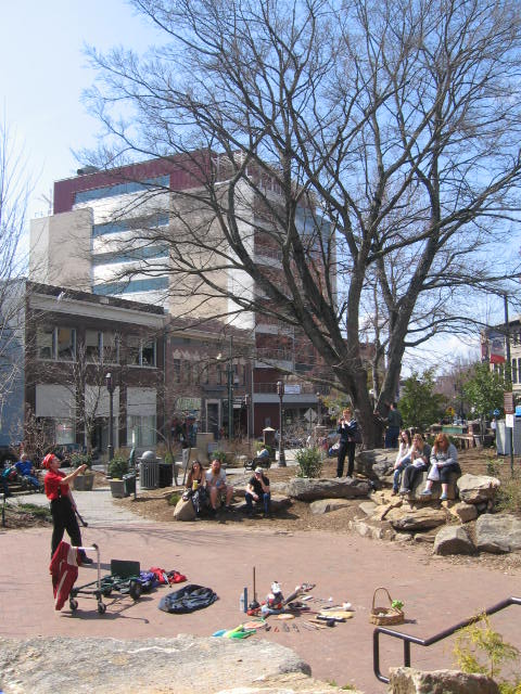 North Carolina's urban trees