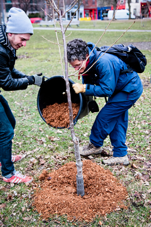 UFSN Launch Trinity Bellwoods