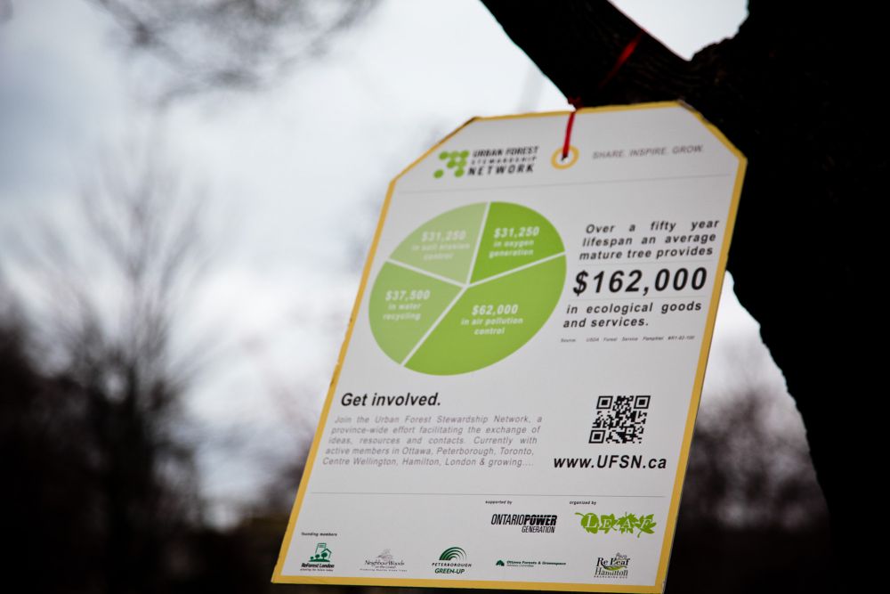 Tree Price Tags