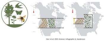 Native Bees have not adapted quickly enough to changing climates