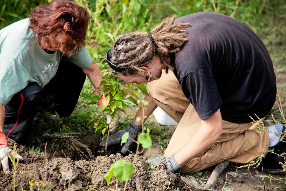 Planting at Milne Hollow